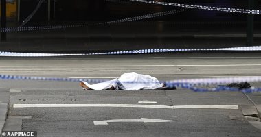 تفاصيل مثيرة فى واقعة مقتل ربة منزل على يد ابنها بالجيزة..تعرف عليها
