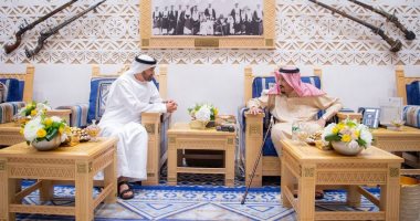 علاقتنا تتعزز كل يوم.. قرقاش يتحدث عن زيارة ولى عهد أبو ظبى للسعودية