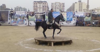 تعرف على الحاصلين على المراكز الأولى فى 5 بطولات بمهرجان الخيول بالمنوفية 