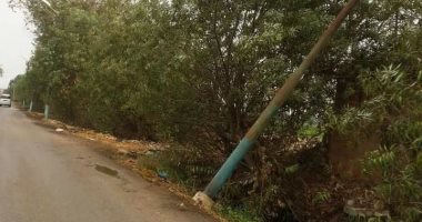 قارئ يرصد أعمدة إنارة آيلة للسقوط بقرية نواج فى الغربية