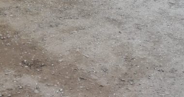 مطالب برصف شارع سلامة العوضى بالعجمى..وقارئ:تقدمنا بشكاوى ولا حياة لمن تنادى