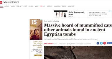 مواقع أجنبية تسلط الضوء على اكتشاف خنافس الجعران ومومياوات القطط بسقارة