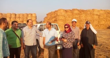 صور.. انتهاء موسم حصاد الأرز بالدقهلية لأول مره بدون ظهور السحابة السوداء 