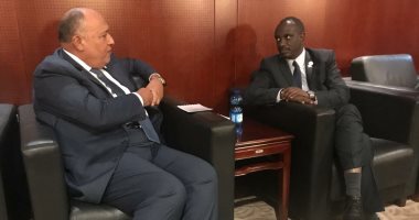 سامح شكرى يبحث مع وزير خارجية رواندا الإصلاح المؤسسى للاتحاد الأفريقى