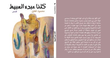 صلاح السروى: المجموعة القصصية "كلنا عبده العبيط" صرخة ومحاولة لبناء الفن