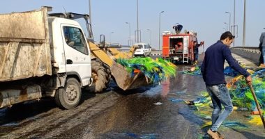صور .. عودة الحركة المرورية لطبيعتها بعد السيطرة على حريق أعلى كوبرى قها