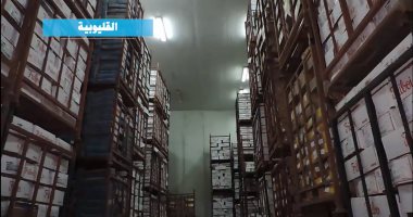 ضبط أطنان سلع فاسدة ومواد بترولية مهربة