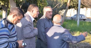 صور.. الإسماعيلية تتزين لافتتاح مشروعات تطوير الطرق والمحاور المرورية الجديدة