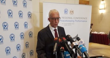 نائب وزير الخارجية يطلع بعثة الجامعة العربية على سير انتخابات مجلس النواب بالخارج