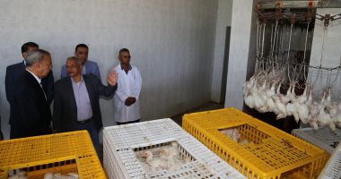 صور .. محافظ قنا يشهد دورة ذبح فراخ جديدة بالمجزر الآلى