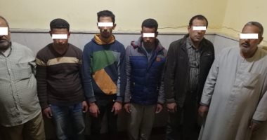 ضبط 6 أشخاص لقيامهم بالتنقيب عن الآثار داخل منزل فى المحلة