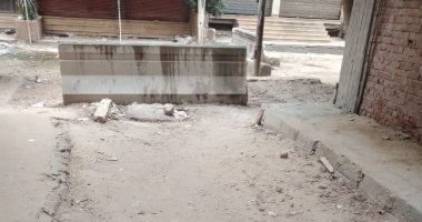 قارئ يطالب برصف شارع طارق بن زياد بمنطقة حلوان 