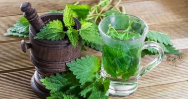دلع جسمك بنبات القراص.. يعالج حب الشباب والأكزيما والتهاب المسالك البولية