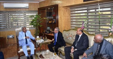 محافظ أسوان يطالب نائب وزير التعليم بإنشاء مدرسة فى تخصص الطاقة الشمسية