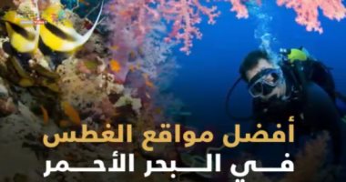 شاهد فى دقيقة.. أفضل مواقع الغطس فى البحر الأحمر