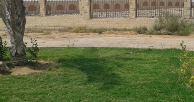 صور.. تزين جامعة أسوان.. والخريجون يطالبون بتعميم التجربة