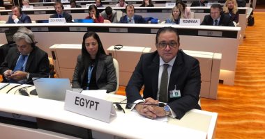 علاء عابد بالأمم المتحدة: البرلمان أصدر 34 تشريعا تخص حقوق الإنسان