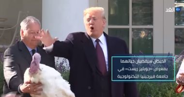 شاهد.. تاريخ العفو الرئاسى عن الديك الرومى فى أمريكا