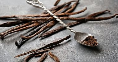 مفاجأة.. الفانيليا من مواد التحنيط.. اعرف التفاصيل