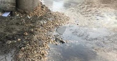 انفجار خط مياه فى مدينة القناطر والشركة تدفع بفرق لإصلاح العطل.. صور