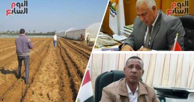  "سيبك من الوظيفة.. أنت صاحب ملك".. الحكومة تدعم تخصيص آلاف الأفدنة فى الظهير الزراعى بالوادى الجديد لتمليك الشباب.. المحافظ: 5 أفدنة لكل شاب بامتيازات غير مسبوقة مع توفير كافة الخدمات والتسهيلات