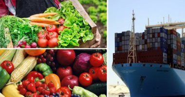 أسعار الخضروات تنخفض ما بين 20 إلى 30 % خلال أسبوع..الغرفة التجارية: زيادة معروض الطماطم وظهور محصول "بطاطس المنيا" أبرز أسباب الانخفاض..غرفة الجيزة: المعارض الدائمة تساهم فى ضبط السعر