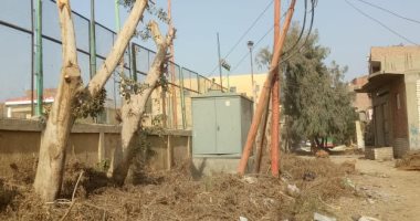 أهالى قرية تزمنت بالشرقية يطالبون بصيانة محول كهرباء وعمود بعد صعق طفل