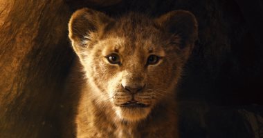 6 مشاهد تطابق الجزء الأول من فيلم The Lion King مع الثانى