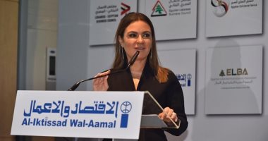 تعرف على أكبر 10 شركات لبنانية تستثمر فى مصر بمساهمات 776 مليون دولار