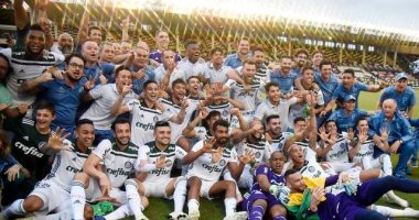فيديو.. بالميراس يتوج بالدورى البرازيلى للمرة العاشرة فى تاريخه