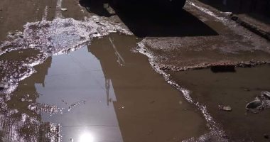 صور.. أهالى زفتى يشتكون من انتشار مياه الصرف الصحى بأحد الشوارع الرئيسية