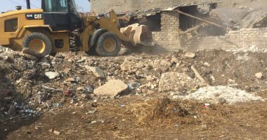 صور.. حملات مكبرة لإزالة التعديات على الرقعة الزراعية بالغربية