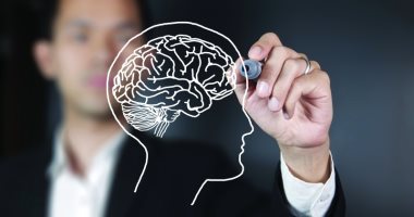 خدعوك فقالوا "الإنسان لا يستخدم سوى 10% من الدماغ"