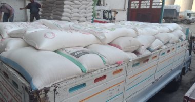 ضبط 2 طن و300 كيلو دقيق دعم قبل بيعه بالسوق السوداء فى الجيزة