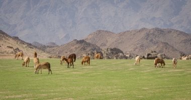 9 محميات بجنوب سيناء والبحر الأحمر تبدأ استقبال الزوار اليوم.. تعرف عليها 