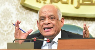 البرلمان يناقش مشكلات المعاشات.. ونائب يطالب وزيرة التضامن بالصعود للمنصة