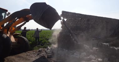 تنفيذ 753 حالة إزالة على الأراضى الزراعية فى الدقهلية