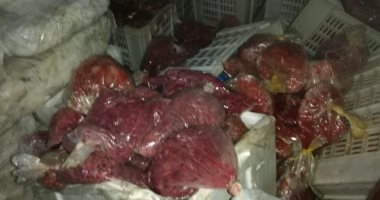 صور.. شرطة التموين تضبط 1.5 طن أسماك فاسدة قبل استخدامها بمطعم شهير