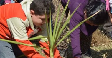 "ثقافة الطفل" يحتفل باليوم العالمى للسلام بمشاركة أطفال من مختلف أنحاء العالم