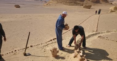 مصر تعرض تجربتها بإدارة موقع وادى الحيتان بمؤتمر التنوع البيولوجى