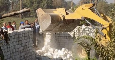 إزالة 4546 حالة تعدى على الأراضى الزراعية بالمنيا و479 حالة بأسيوط