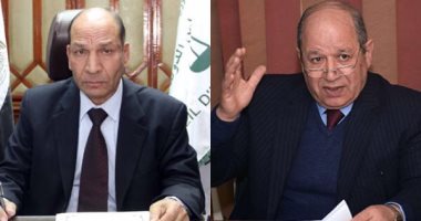 "مسئولية الدولة في حماية الحق في الحياة" ندوة بمجلس الدولة الثلاثاء المقبل