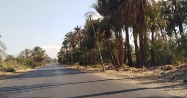 قارئ يرصد تهالك أعمدة الكهرباء بطريق الجزيرة سوهاج