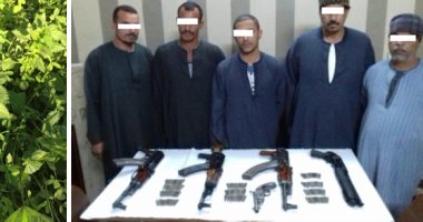 تنفيذ 50 حكما قضائيا وضبط مزرعة "بانجو" بحملة أمنية مكبرة بأسيوط