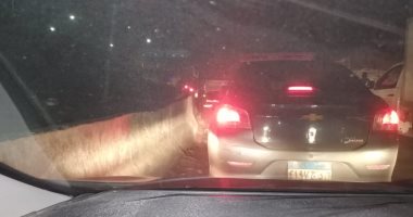 قارئ يشكو سوء حالة الطريق بمدخل نفق الدائرى الزراعى فى اتجاه الإسكندرية