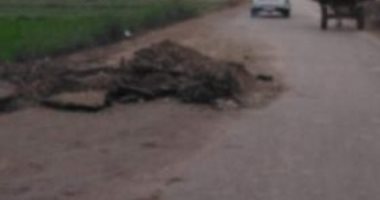 قارئ يشكو تهالك الطريق بين قريتى "الشركة 2" و"عرب زيدان" بالدقهلية