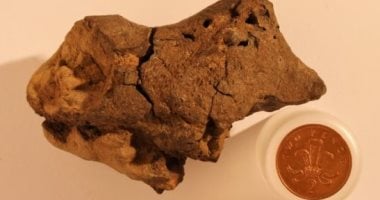 بعد اكتشاف أدوات جزائرية عمرها 2 مليون سنة.. خبير آثار: ليس شرطا أنها من صنع الإنسان