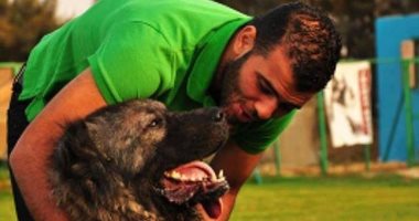قصة صور.. "النجوم والكلاب".. عشق لن ينتهى