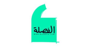 تحرك قضائى ضد موقع "الفصلة" الإلكترونى لإهانته "الباسبور المصرى"