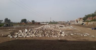 إزالة 9746 حالة تعدى على 366 فدانا بالأراضى الزراعية فى المنيا